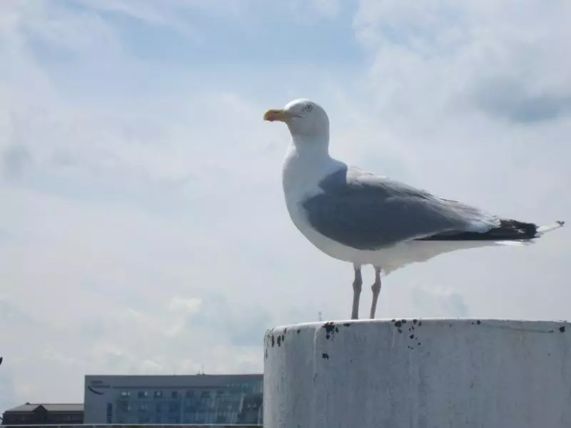 Ostseeurlaub