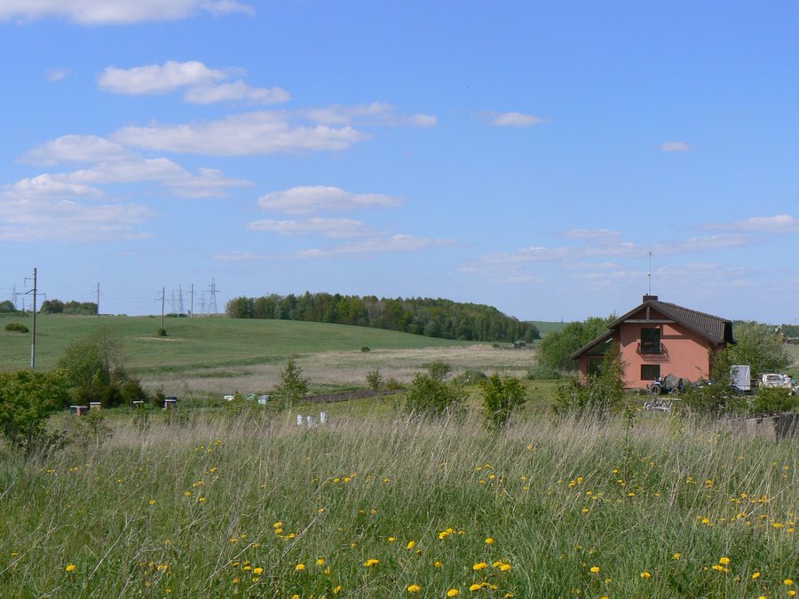 File:ToleikiaiKSeveru.JPG